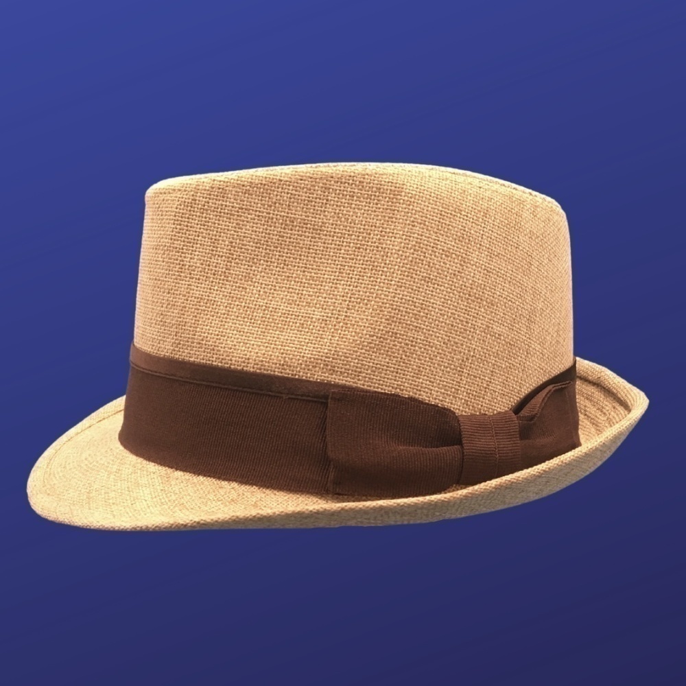 Target Women’s FEDORA 100% Polyester Hat, “Linen Look” TAN/BROWN, One Size, NWOT